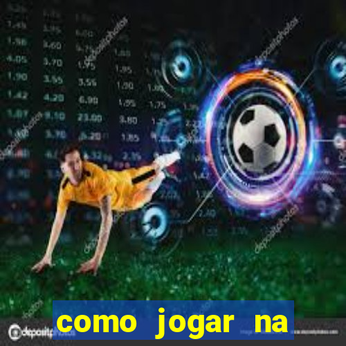 como jogar na teimosinha da lotofacil