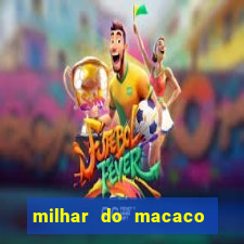 milhar do macaco que mais saem no jogo do bicho