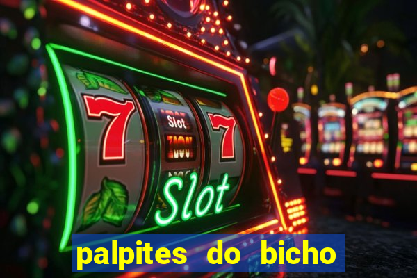 palpites do bicho no celular