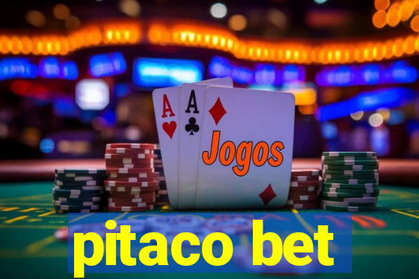 pitaco bet