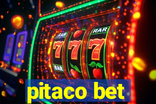 pitaco bet