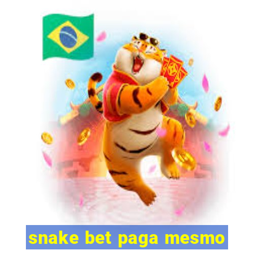 snake bet paga mesmo