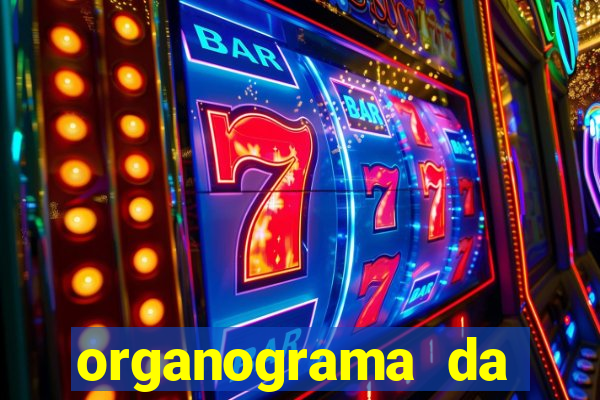 organograma da cacau show