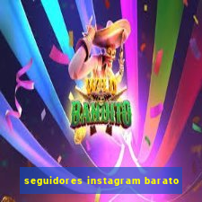 seguidores instagram barato