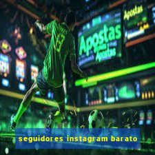 seguidores instagram barato