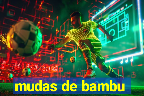 mudas de bambu