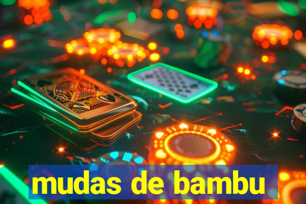 mudas de bambu