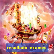 resultado exames unimed poa