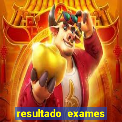 resultado exames unimed poa