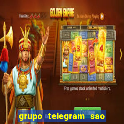 grupo telegram sao jose do rio preto