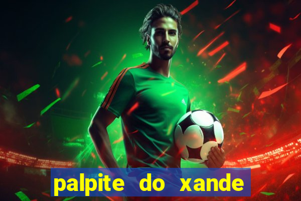 palpite do xande de hoje