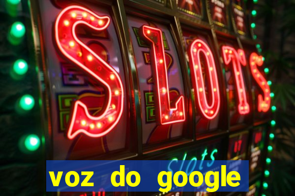 voz do google tradutor homem