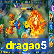 dragao5