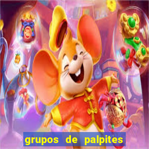 grupos de palpites de futebol whatsapp