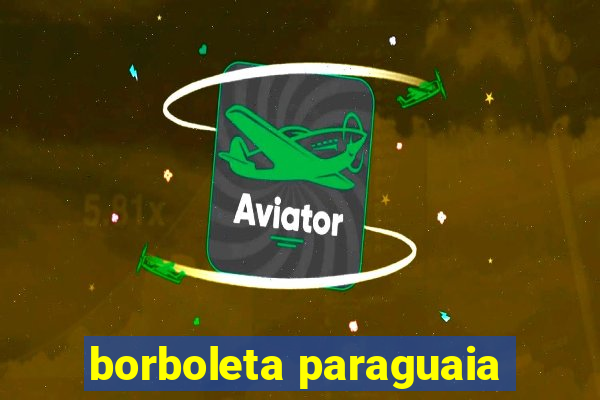 borboleta paraguaia