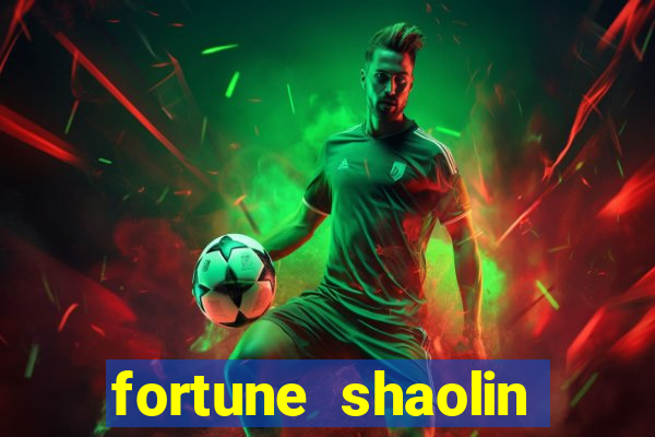 fortune shaolin soccer demo