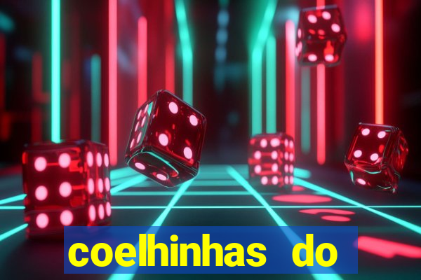 coelhinhas do brasil acompanhantes