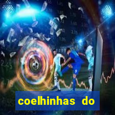 coelhinhas do brasil acompanhantes