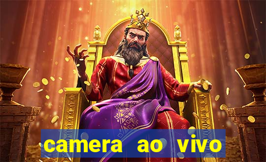 camera ao vivo terminal vila nova cachoeirinha