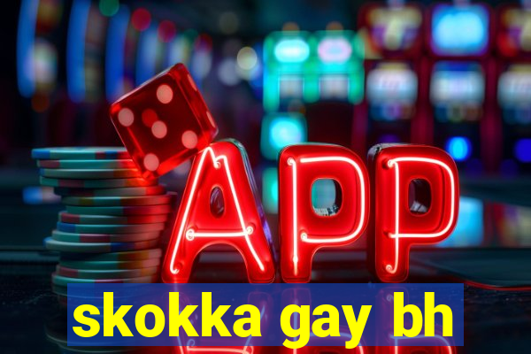 skokka gay bh