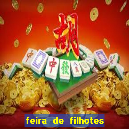 feira de filhotes porto alegre