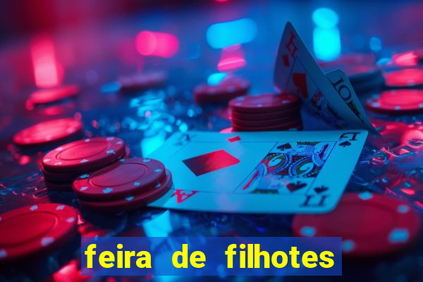 feira de filhotes porto alegre