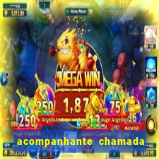 acompanhante chamada de video