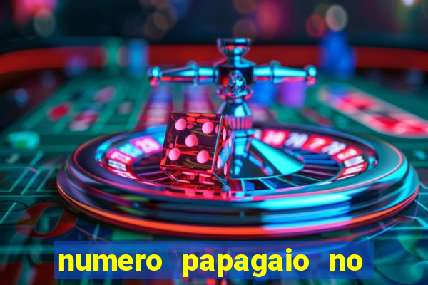 numero papagaio no jogo do bicho