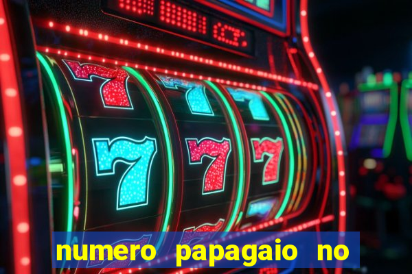 numero papagaio no jogo do bicho