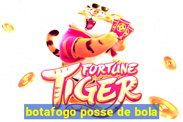 botafogo posse de bola