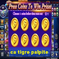 ca tigre palpite