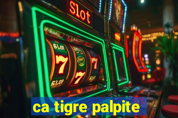 ca tigre palpite