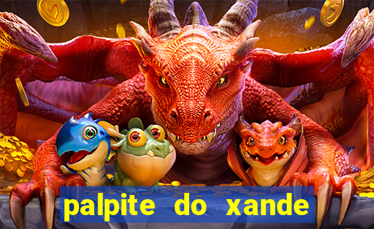 palpite do xande para hoje