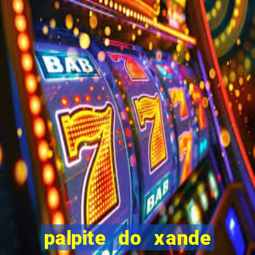 palpite do xande para hoje