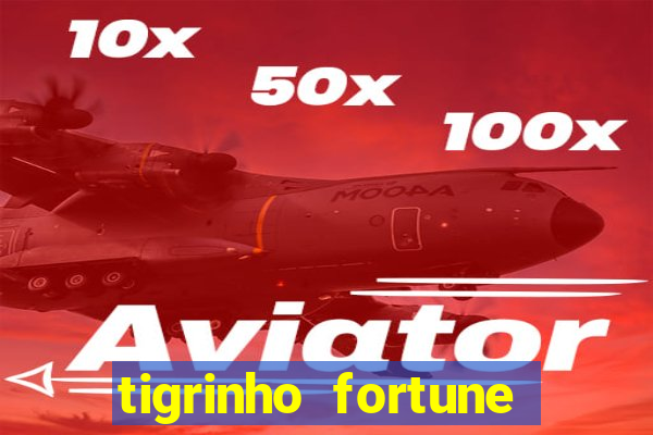 tigrinho fortune dinheiro infinito