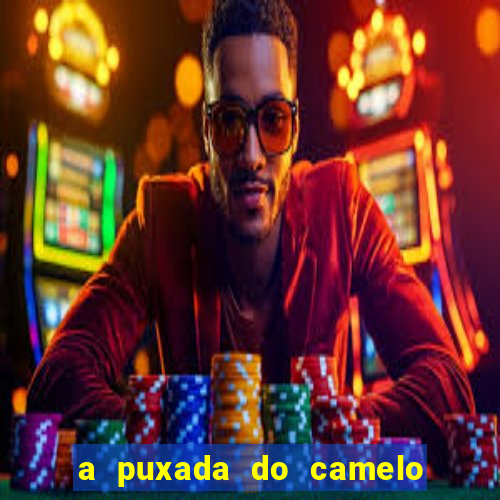 a puxada do camelo no jogo do bicho