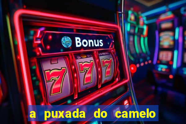 a puxada do camelo no jogo do bicho