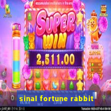 sinal fortune rabbit