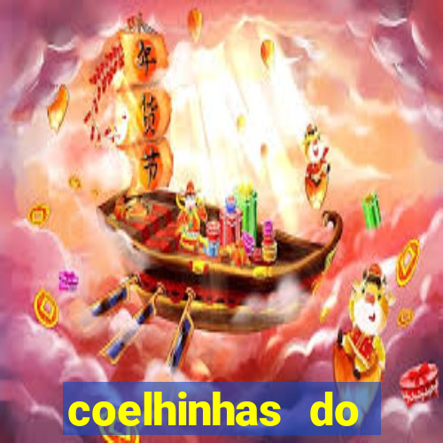 coelhinhas do brasil jp