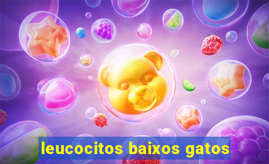 leucocitos baixos gatos