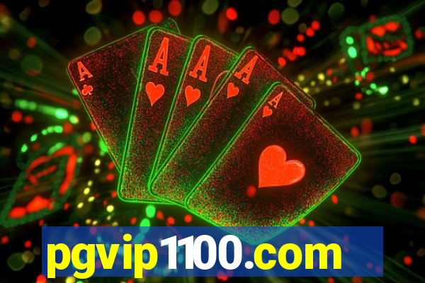 pgvip1100.com