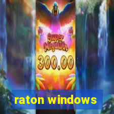 raton windows