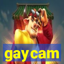 gaycam