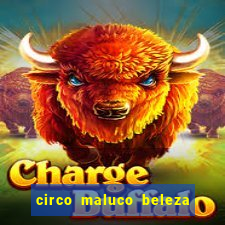 circo maluco beleza recife circo maluco