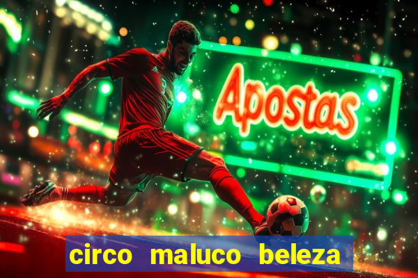 circo maluco beleza recife circo maluco