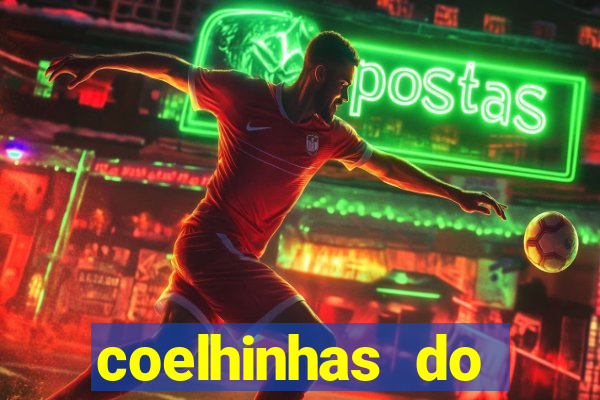 coelhinhas do brasil recife