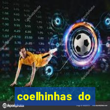 coelhinhas do brasil recife