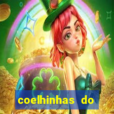 coelhinhas do brasil recife