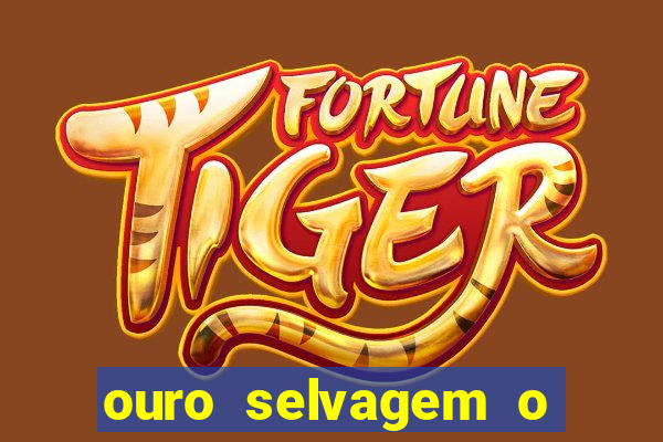 ouro selvagem o que aconteceu na vida