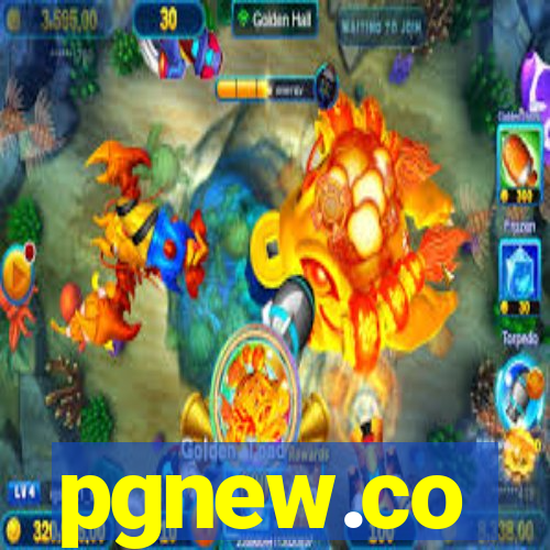 pgnew.co